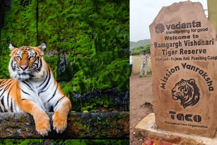 Vedanta’s TACO Commits ₹30 Crore Towards Wildlife Conservation Across India